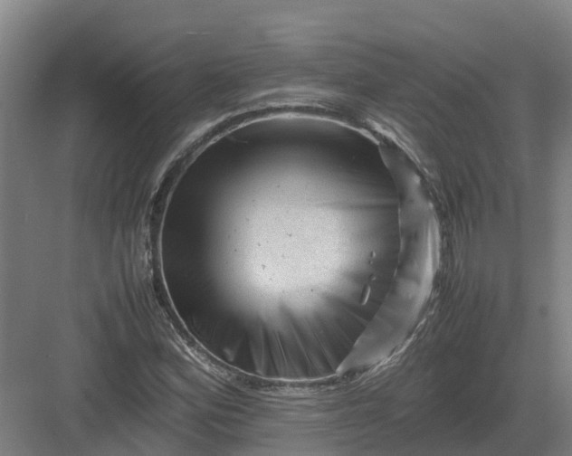 X0000082971164200702152324