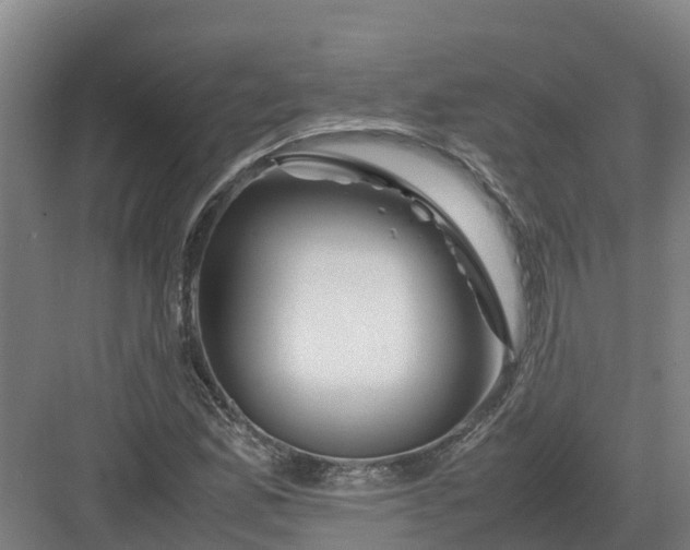 X0000082971165200702152324