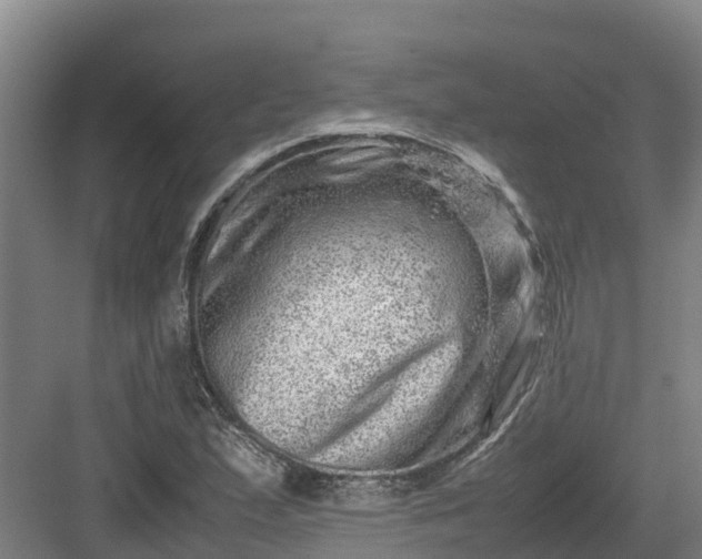 X0000082971167200702152324