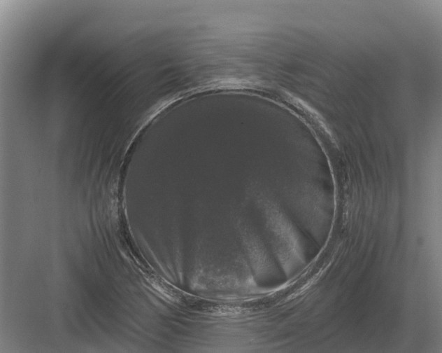 X0000082971170200702152324