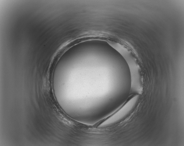 X0000082971172200702152324