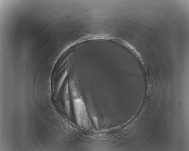 X0000082971174200702152324