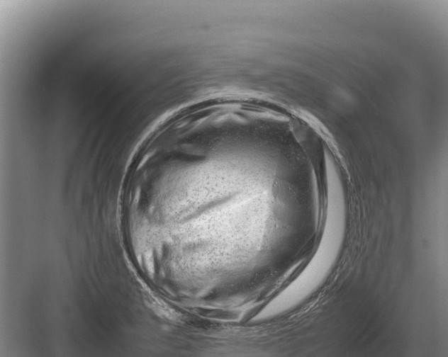 X0000082971183200702152324