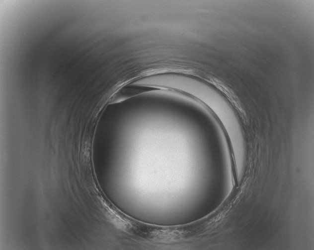 X0000082971185200702152324