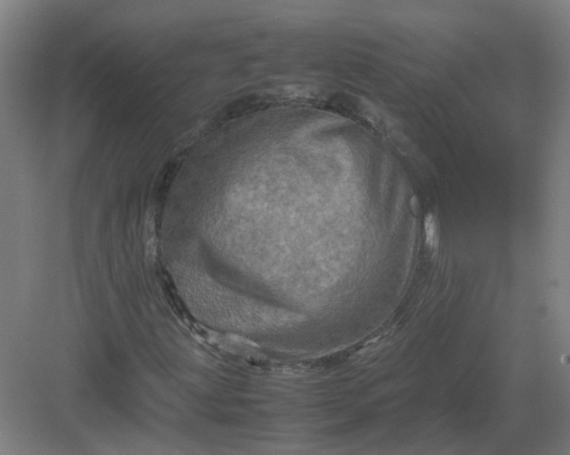 X0000082971203200702152323
