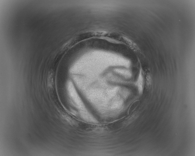 X0000082971204200702152323