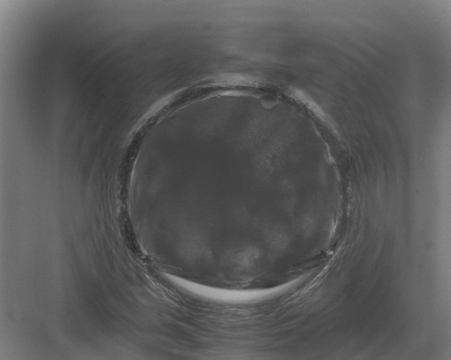 X0000082971213200702152323