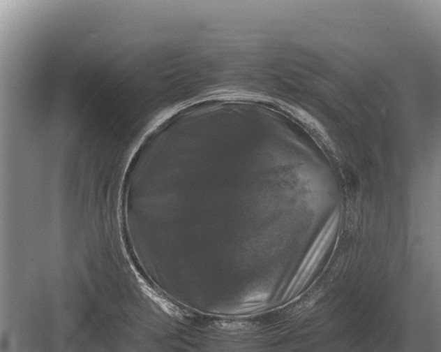 X0000082971231200702152323