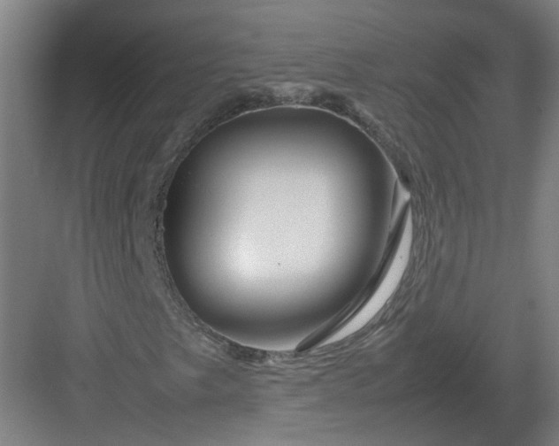 X0000082971249200702152323