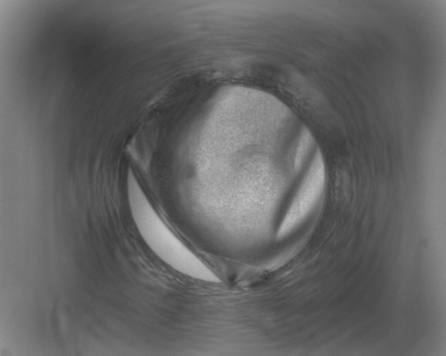 X0000082971250200702152323