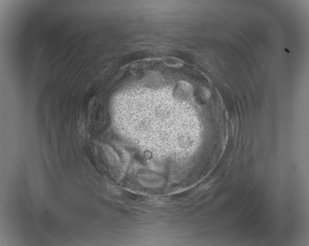 X0000082971251200702152323