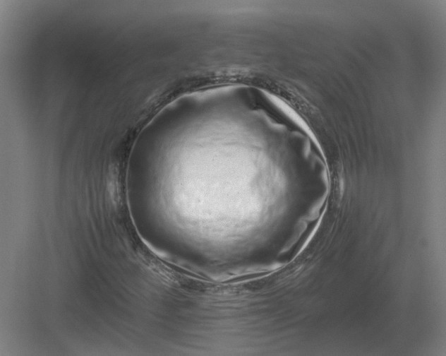X0000082971252200702152323