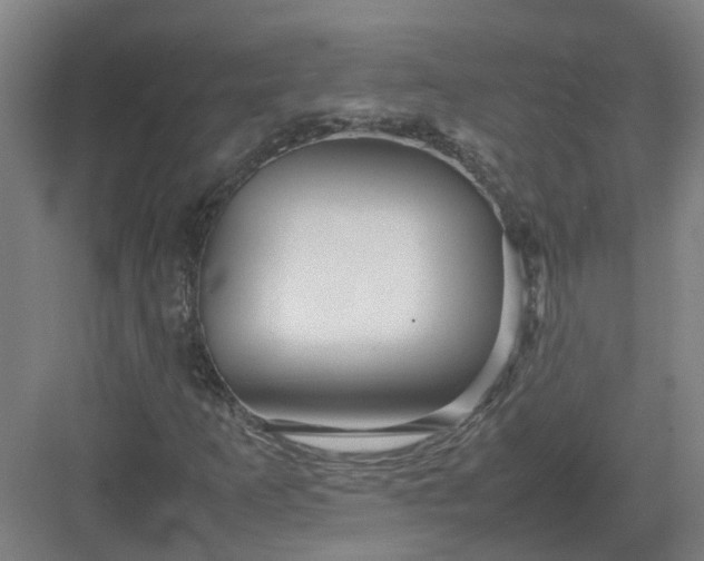 X0000082971253200702152323