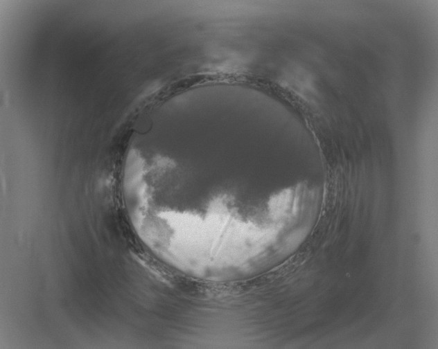 X0000082971254200702152323