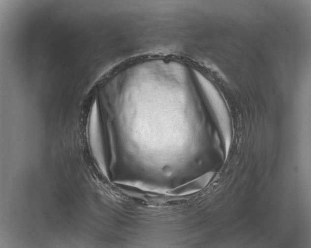 X0000082971256200702152323