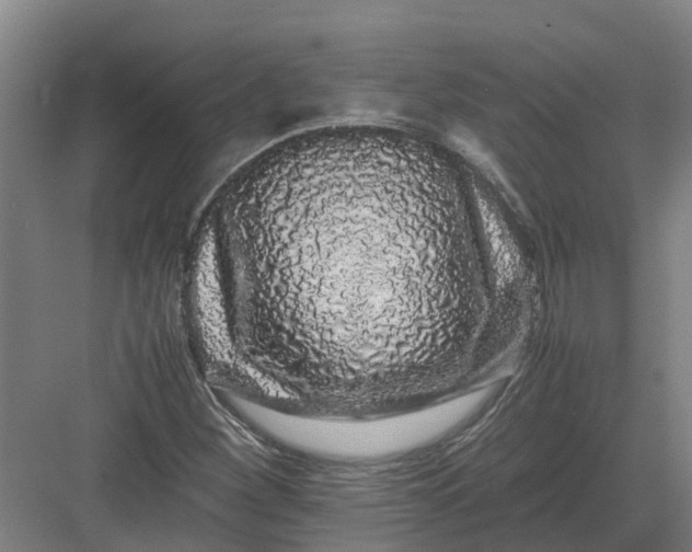 X0000082971260200702152322