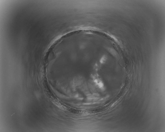 X0000082971263200702152322