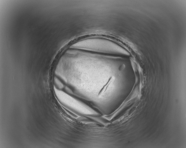 X0000082971264200702152322