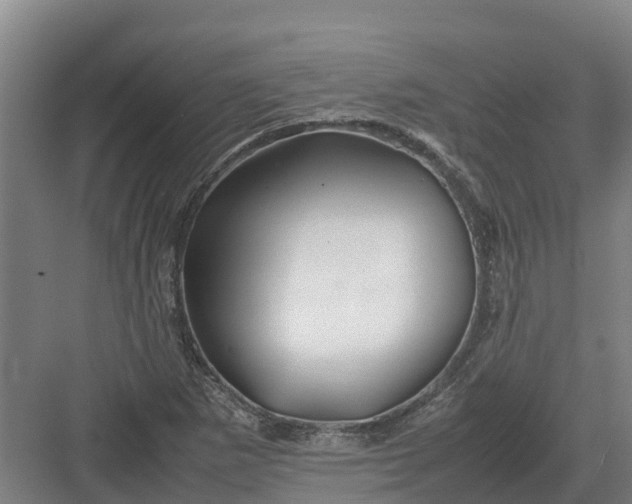 X0000082971265200702152322
