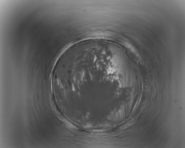 X0000082971275200702152322