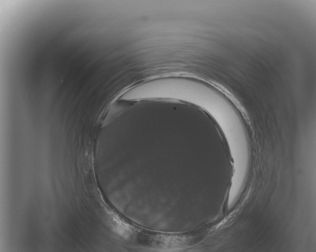 X0000082971289200702152322