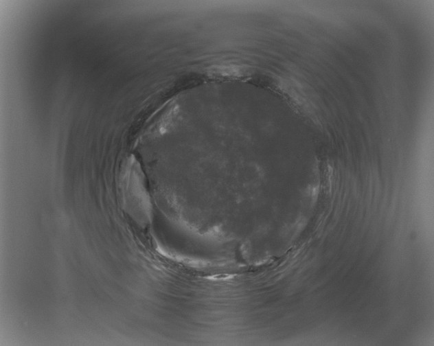 X0000082971297200702152321