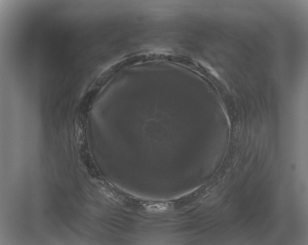 X0000082971303200702152321