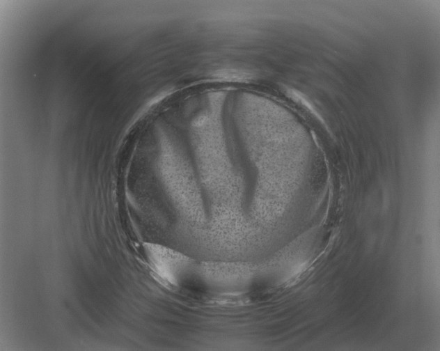 X0000082971307200702152321