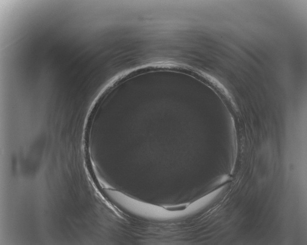 X0000082971327200702152322