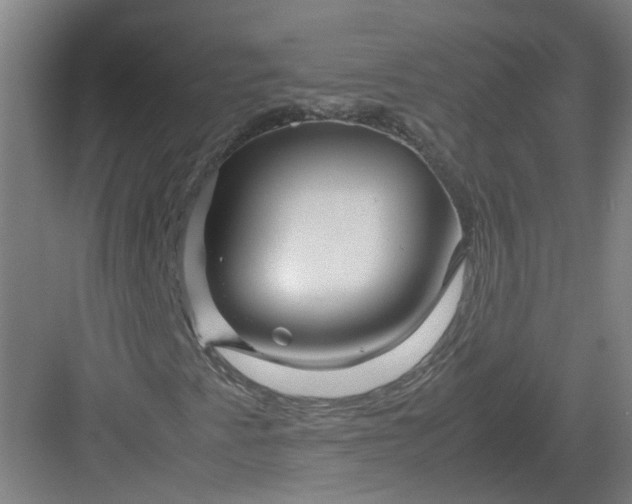 X0000082971345200702152321