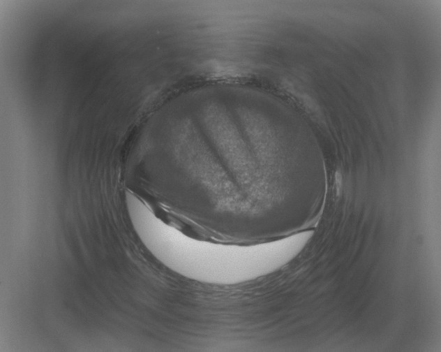 X0000082971348200702152321