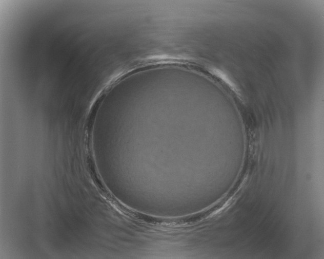X0000082971357200702152321