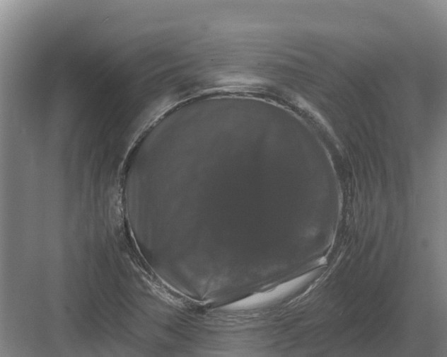 X0000082971362200702152321
