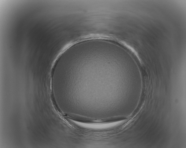 X0000082971365200702152321