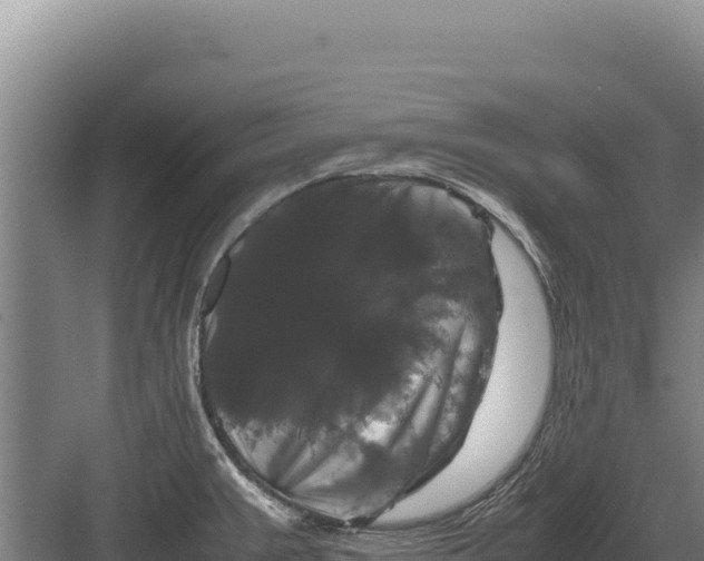 X0000082971383200702152320