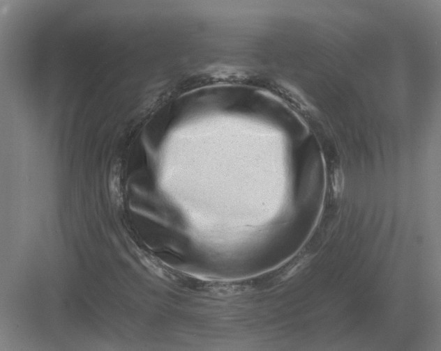 X0000082971396200702152320