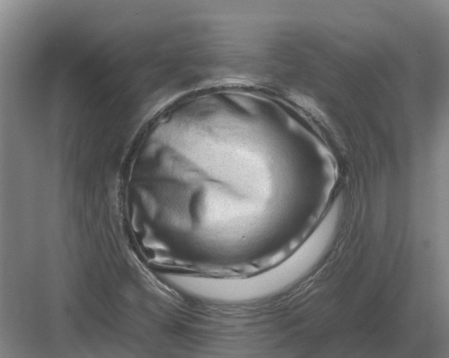 X0000082971404200702152320