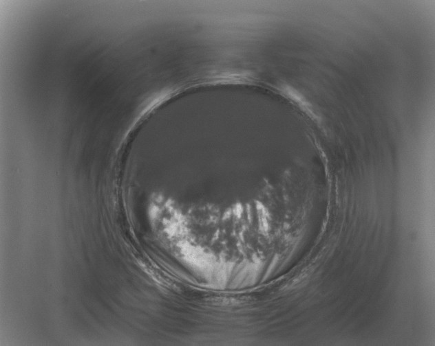 X0000082971405200702152320