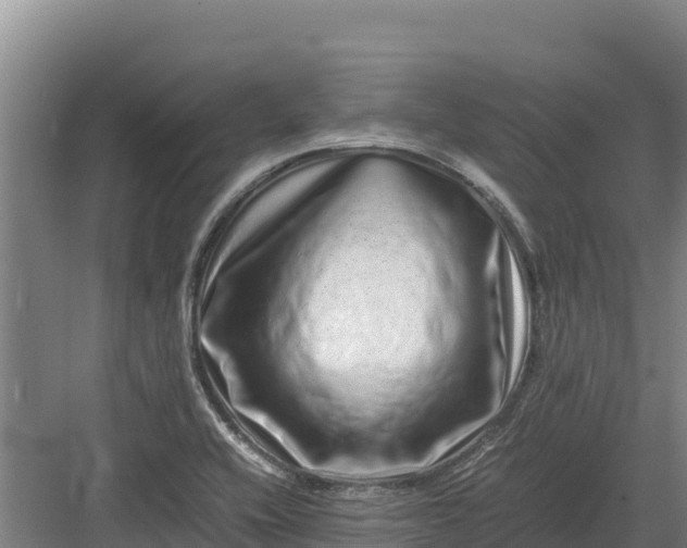 X0000082971416200702152320