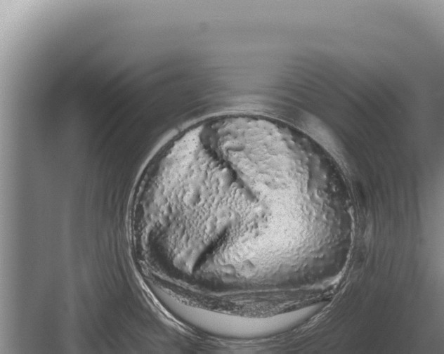 X0000082971436200702152320