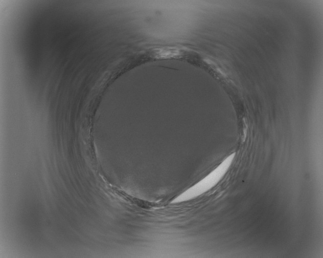 X0000082971441200702152319