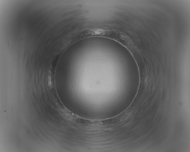 X0000082971442200702152319