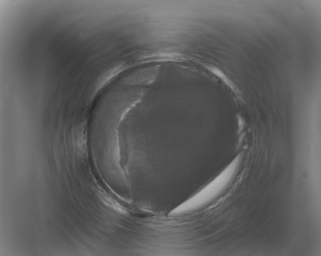 X0000082971450200702152319