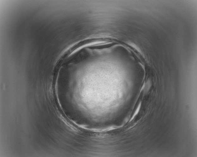 X0000082971452200702152319