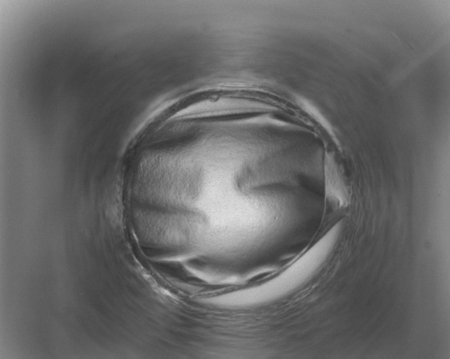 X0000082971456200702152319