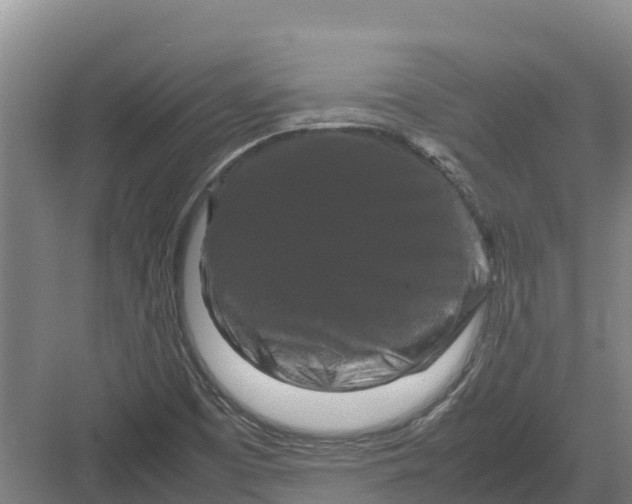 X0000082971457200702152319