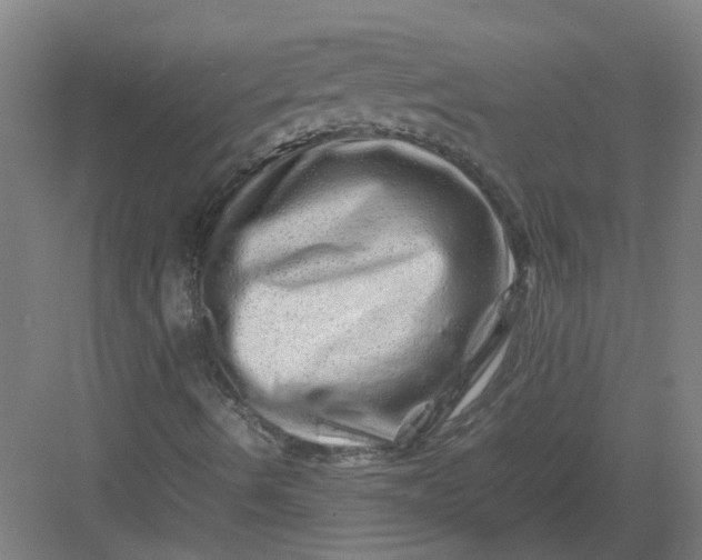X0000082971490200702152318