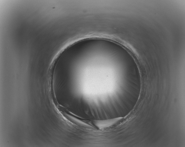 X0000082971504200702152318