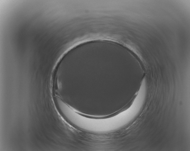 X0000082971508200702152318