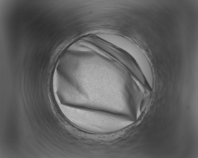 X0000082970001200702230019